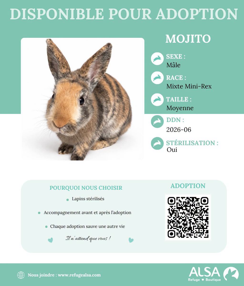 Mojito